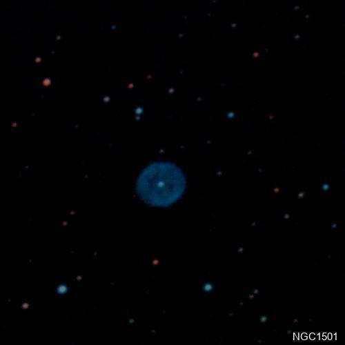 NGC1501